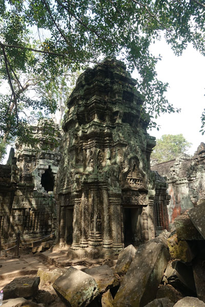 Angkor Wat Ta Prohm 3