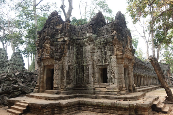 Angkor Wat Ta Prohm 5