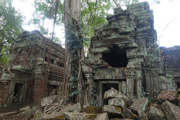 Angkor Wat Ta Prohm 6