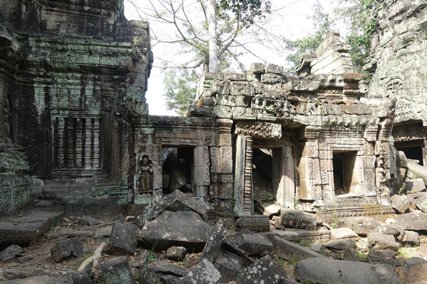 Angkor Wat Ta Prohm 7