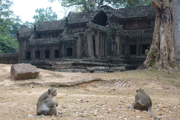 Angkor Wat Tempel Osttor