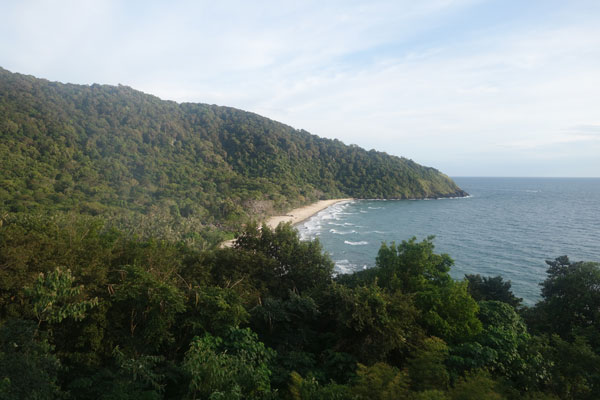 Bamboo Bay