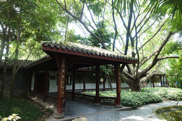 Chengdu Peoples Park 6