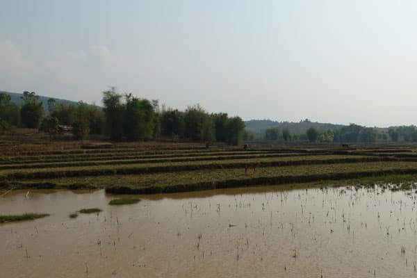 Ebene der Tonkruege Jarsite 3 Landschaft 2