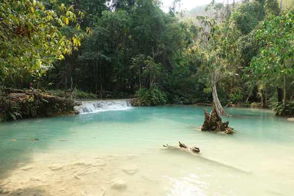 Luang Prabang Kuang Si Waterfall 6