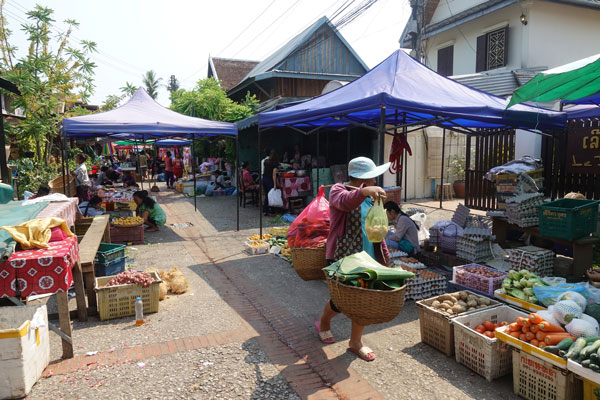Luang Prabang Morning Food Market 2