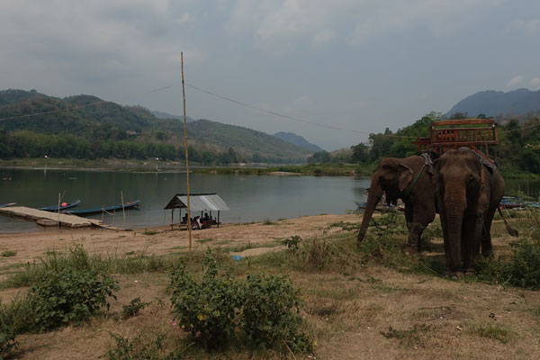 Luang Prabang Pak ou cave unterwegs 3