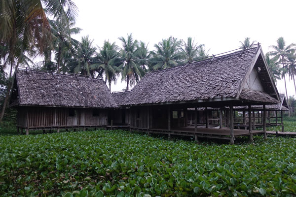 Luang Prabang Wet Land Walking 1