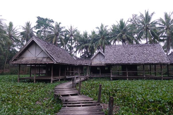 Luang Prabang Wet Land Walking 2