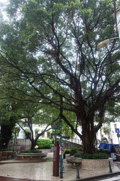 Macau Sehenswürdigkeiten Heritage Trail Lilau Square 1