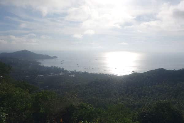 Mango View