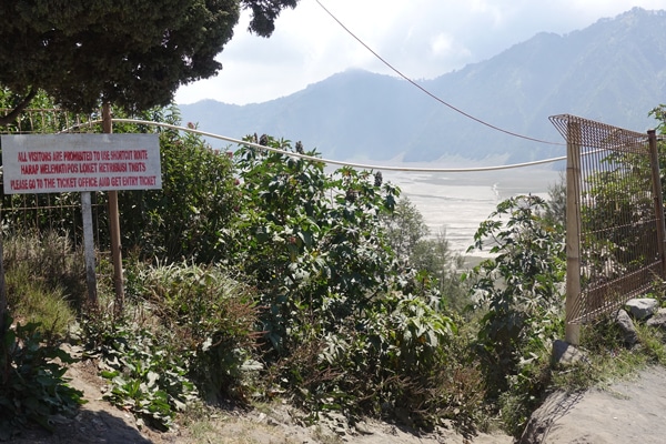 Mount Bromo Weg in die Sandwüste 3