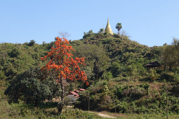 mrauk u shwetaung paya
