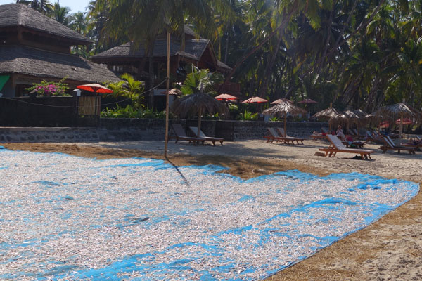 Ngapali beach mittlerer Strandabschnitt 2