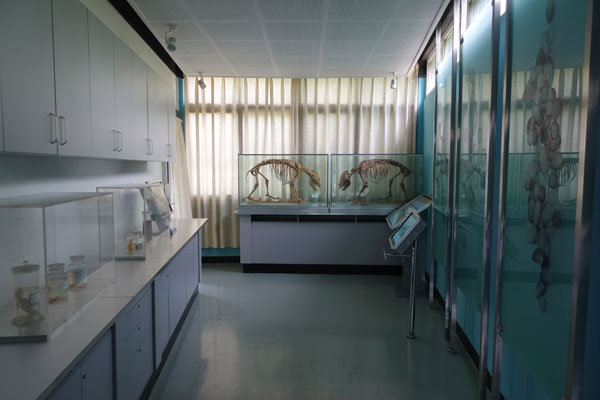 Krankenhaus Pandabären Chengdu Pandaaufzuchtsstation Einrichtungen Krankenhaus