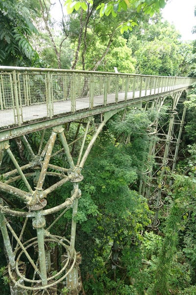 Rainforest Discovery Center Sepilok RDC 1