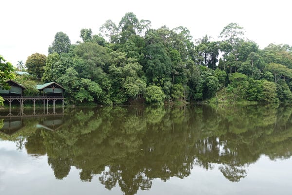 Rainforest Discovery Center Sepilok RDC