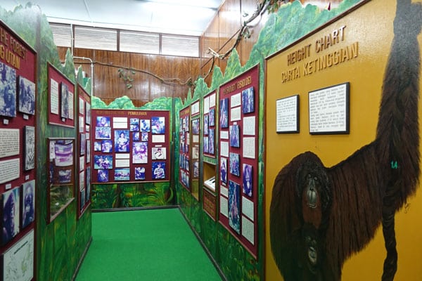 Informtionscenter Sepilok Orang Utan Rehabilitation Center allgemein 3