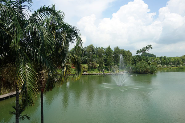 Singapur Sehenswürdigkeiten Marina Bay Gardens by the Bay 3