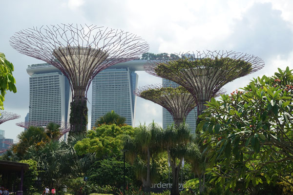 Singapur Sehenswürdigkeiten Marina Bay Gardens by the Bay Blumen 2
