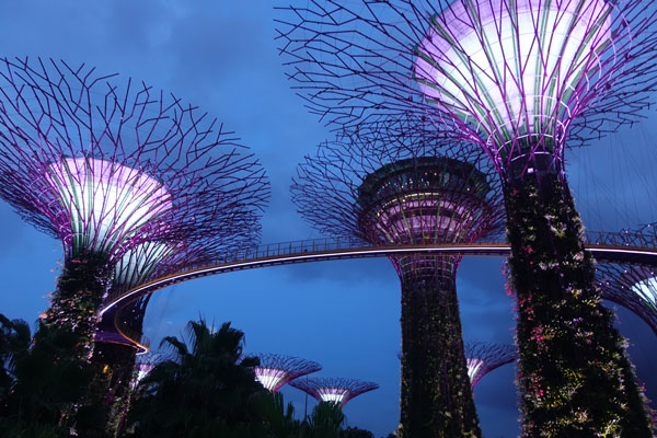 Singapur Sehenswürdigkeiten Marina Bay Gardens by the Bay Blumen 3