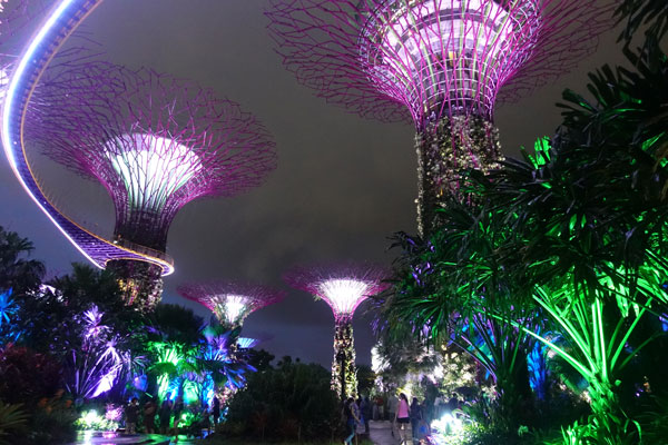 Singapur Sehenswürdigkeiten Marina Bay Gardens by the Bay Blumen 4