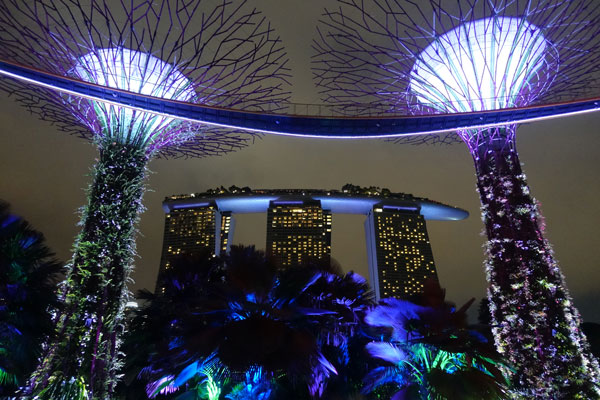 Singapur Sehenswürdigkeiten Marina Bay Gardens by the Bay Blumen 5