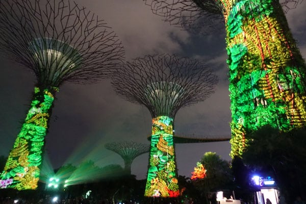 Singapur Sehenswürdigkeiten Marina Bay Gardens by the Bay Blumen 6