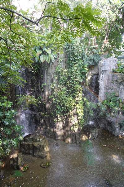 Taichung Sehenswürdigkeiten Botanical Garden 2