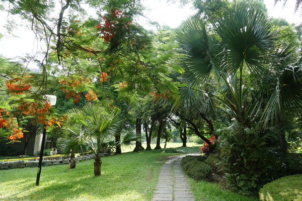Taichung Sehenswürdigkeiten National Museum of Natural Science Park