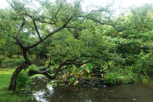 Taipei Sehenswürdigkeiten Botanical Garden 1