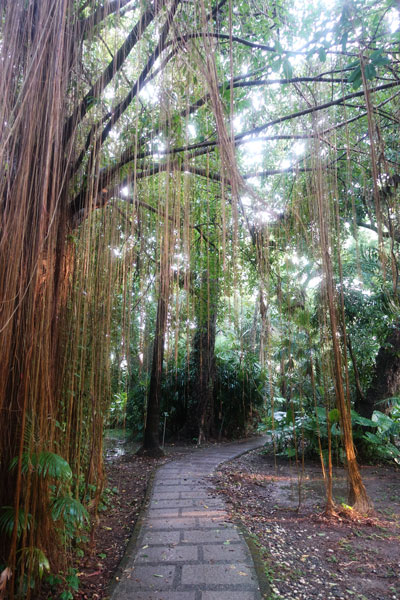 Taipei Sehenswürdigkeiten Botanical Garden 2