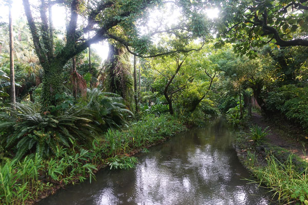Taipei Sehenswürdigkeiten Botanical Garden 3
