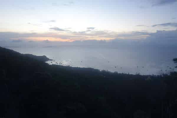 Two View