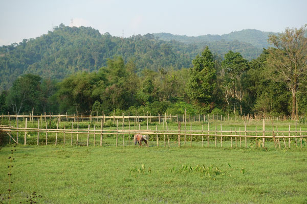 Vang Vieng Umgebung Fahrradtour 4