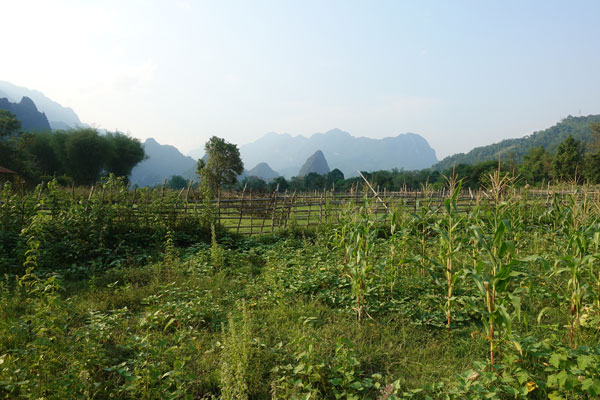 Vang Vieng Umgebung Fahrradtour 6