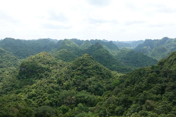 Vietnam Cat Ba Ngu Lam Peak 2