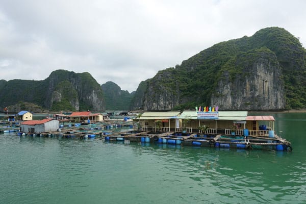 Vietnam Han La Bay Fischzucht