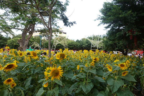 Vung Tau Vietnam Stadtbild 3
