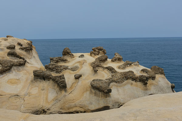 Ginger Rock Yehliu Geopark Tagesausflug von Taipeh Figuren erster Abschnitt Ginger Rock