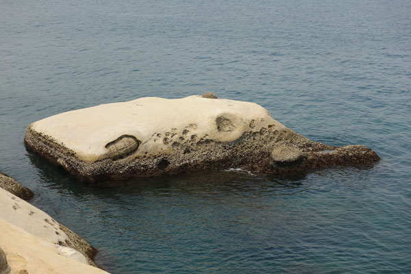 Elephant Rock Yehliu Geopark Tagesausflug von Taipeh Figuren zweiter Abschnitt Elephant Rock